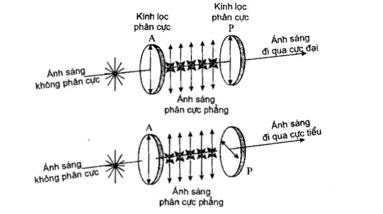 Nguyên lý phân cực kế