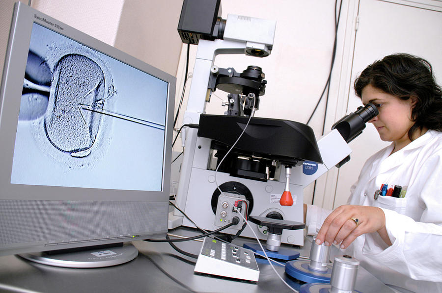 Ứng dụng kính hiển vi trong thụ tinh nhân tạo IVF