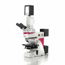 Kính hiển vi 2 mắt nghiên cứu điện sinh lý Leica DM6 FS
