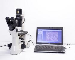 Kính hiển vi soi ngược Nikon TS100 - Nhật Bản